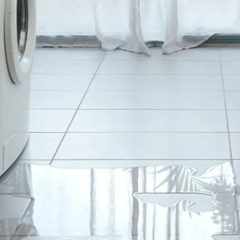 Appliance Leak Cleanup in Elroy, NC