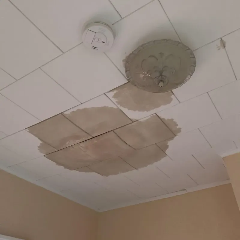 Ceiling Water Damage Repair in Elroy, NC