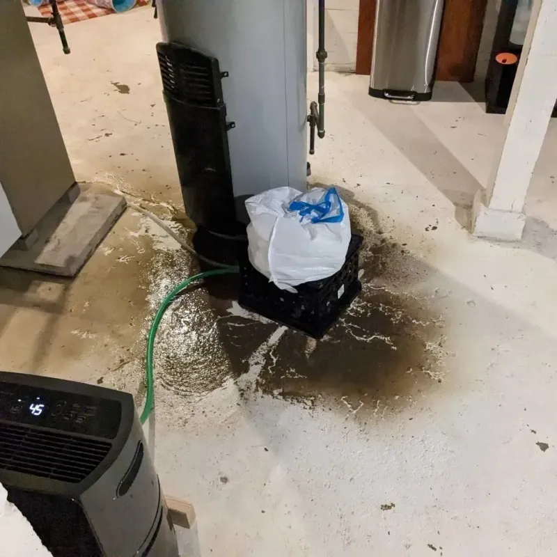 Sewage Backup Cleanup Service in Elroy, NC